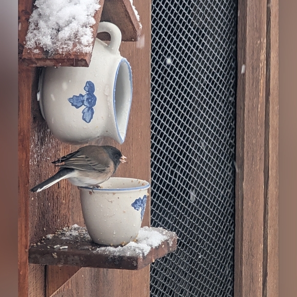 Rustic Wooden Handmade Bird Feeder Penguin With The Birds - Picture 10 of 15